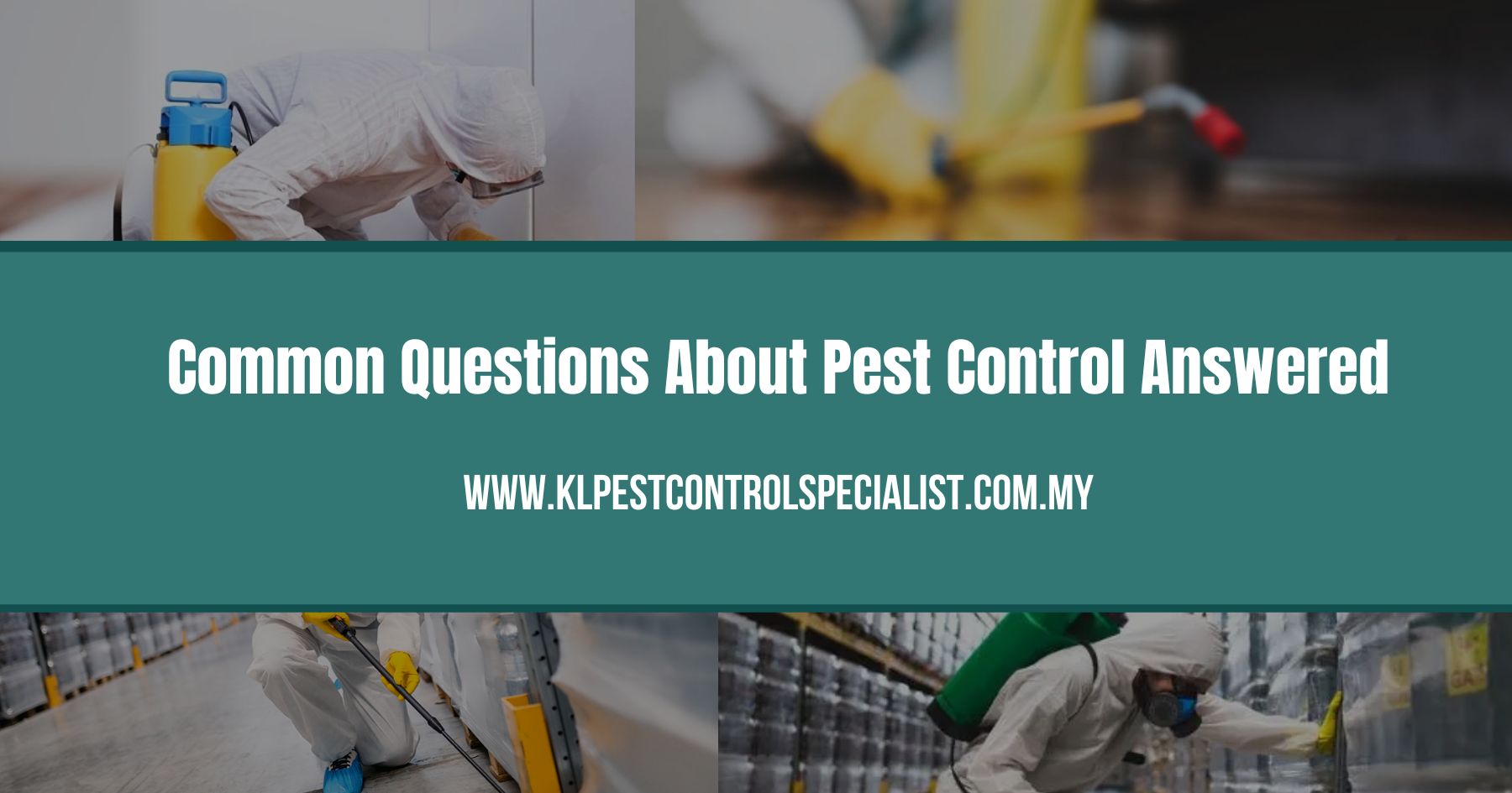 Common Questions About Pest Control Answered