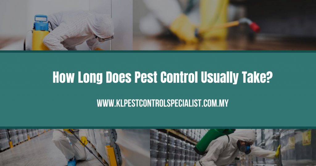 How Long Does Pest Control Usually Take
