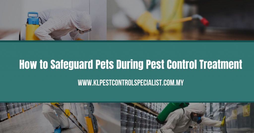 How to Safeguard Pets During Pest Control Treatment