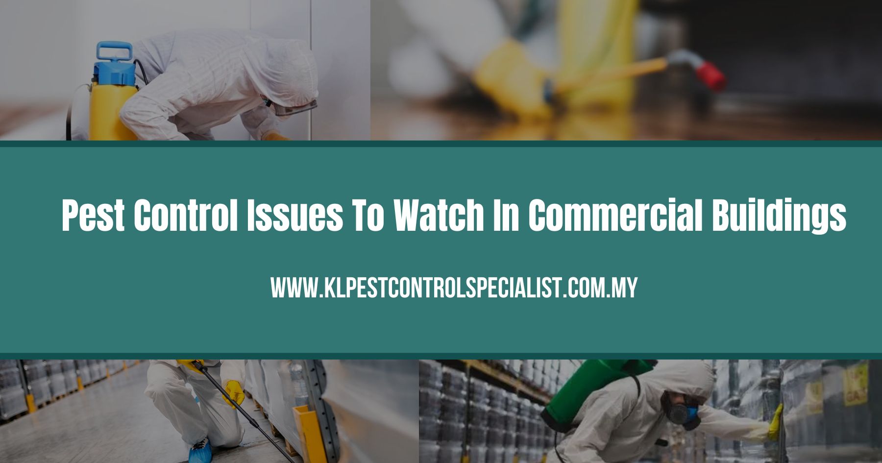 Pest Control Issues To Watch In Commercial Buildings