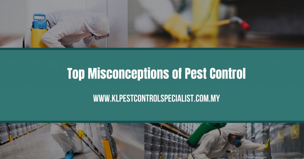 Top Misconceptions of Pest Control