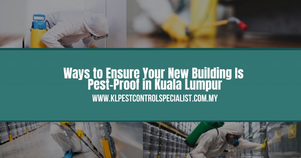 Ways to Ensure Your New Building Is Pest-Proof in Kuala Lumpur