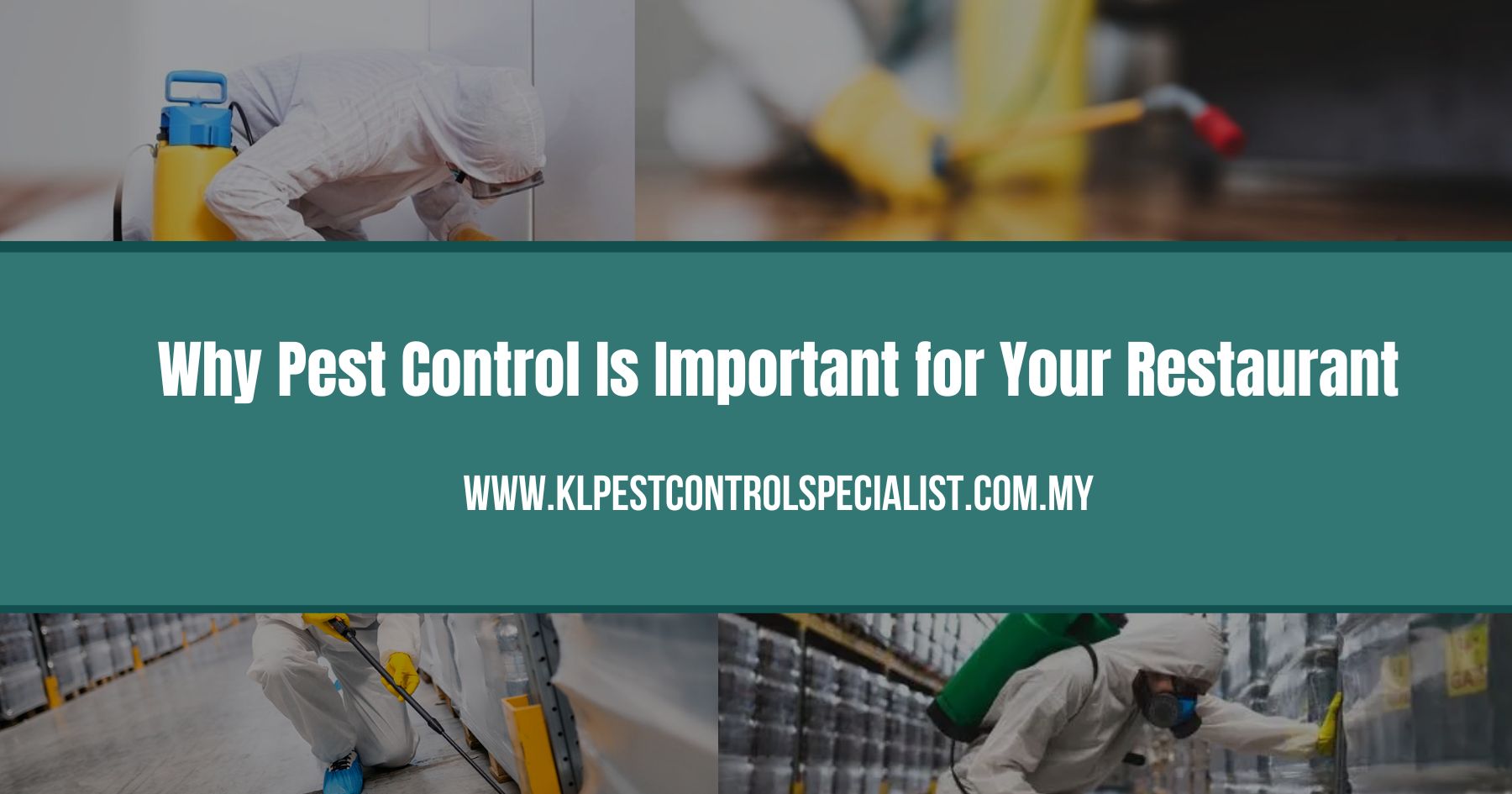 Why Pest Control Is Important for Your Restaurant