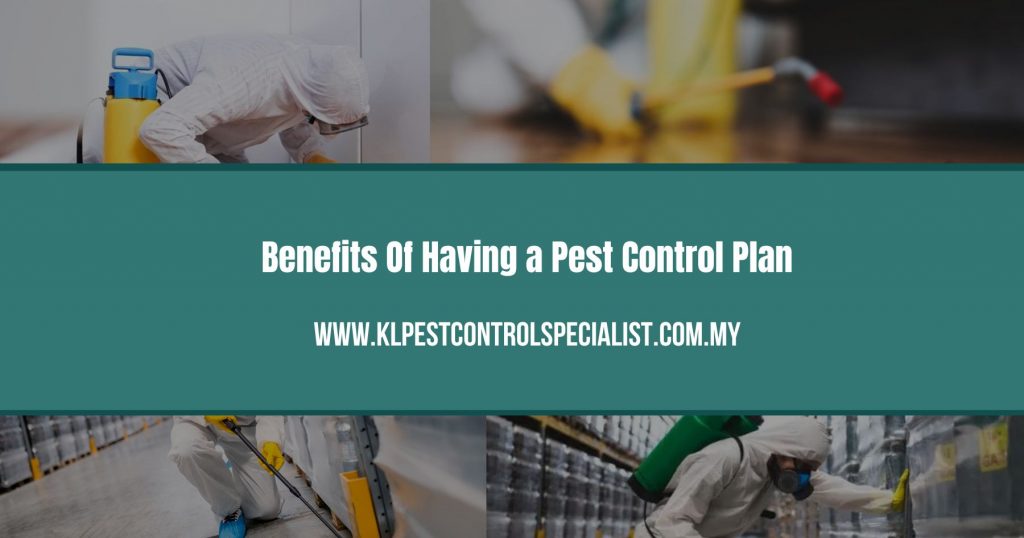 Benefits Of Having a Pest Control Plan