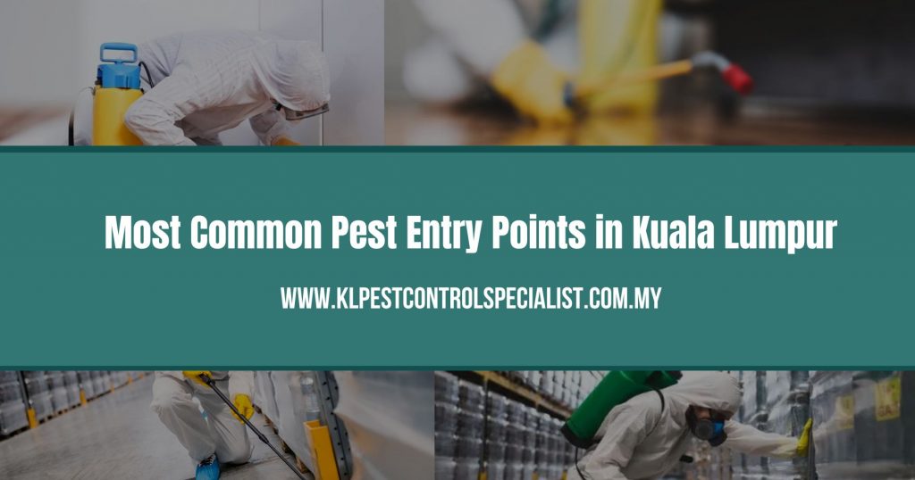 Most Common Pest Entry Points in Kuala Lumpur
