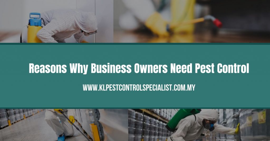 Reasons Why Business Owners Need Pest Control