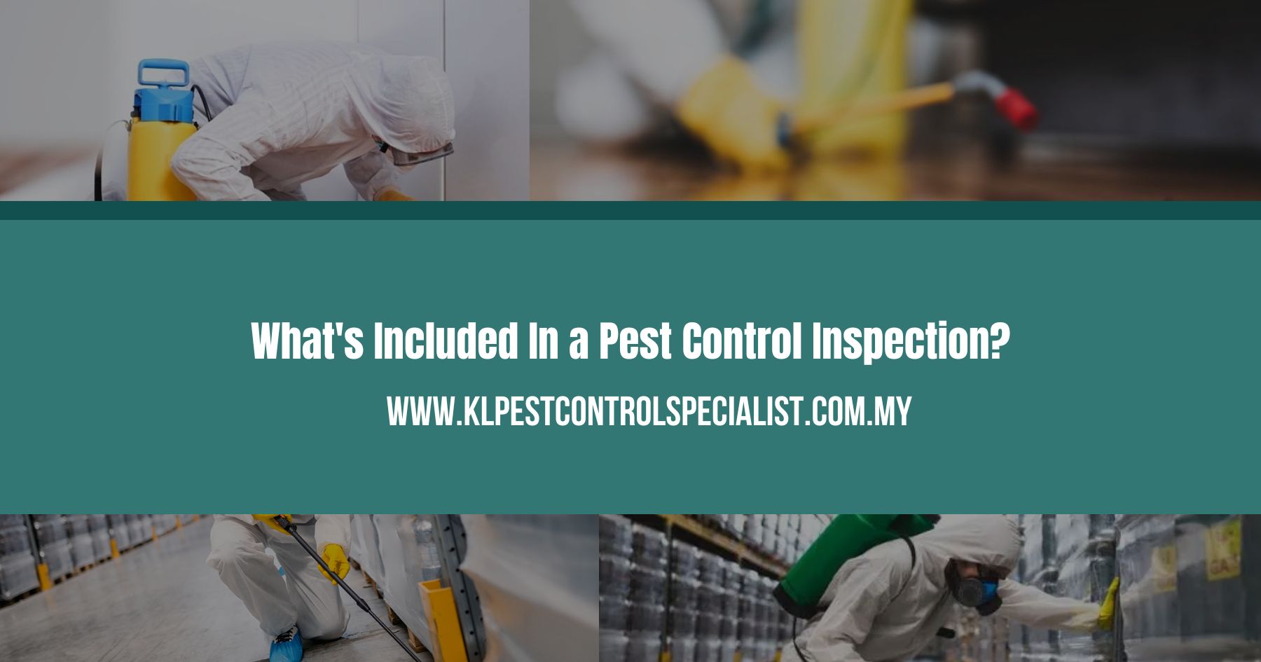 What's Included In a Pest Control Inspection
