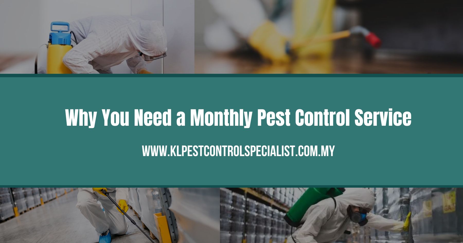 Why You Need a Monthly Pest Control Service