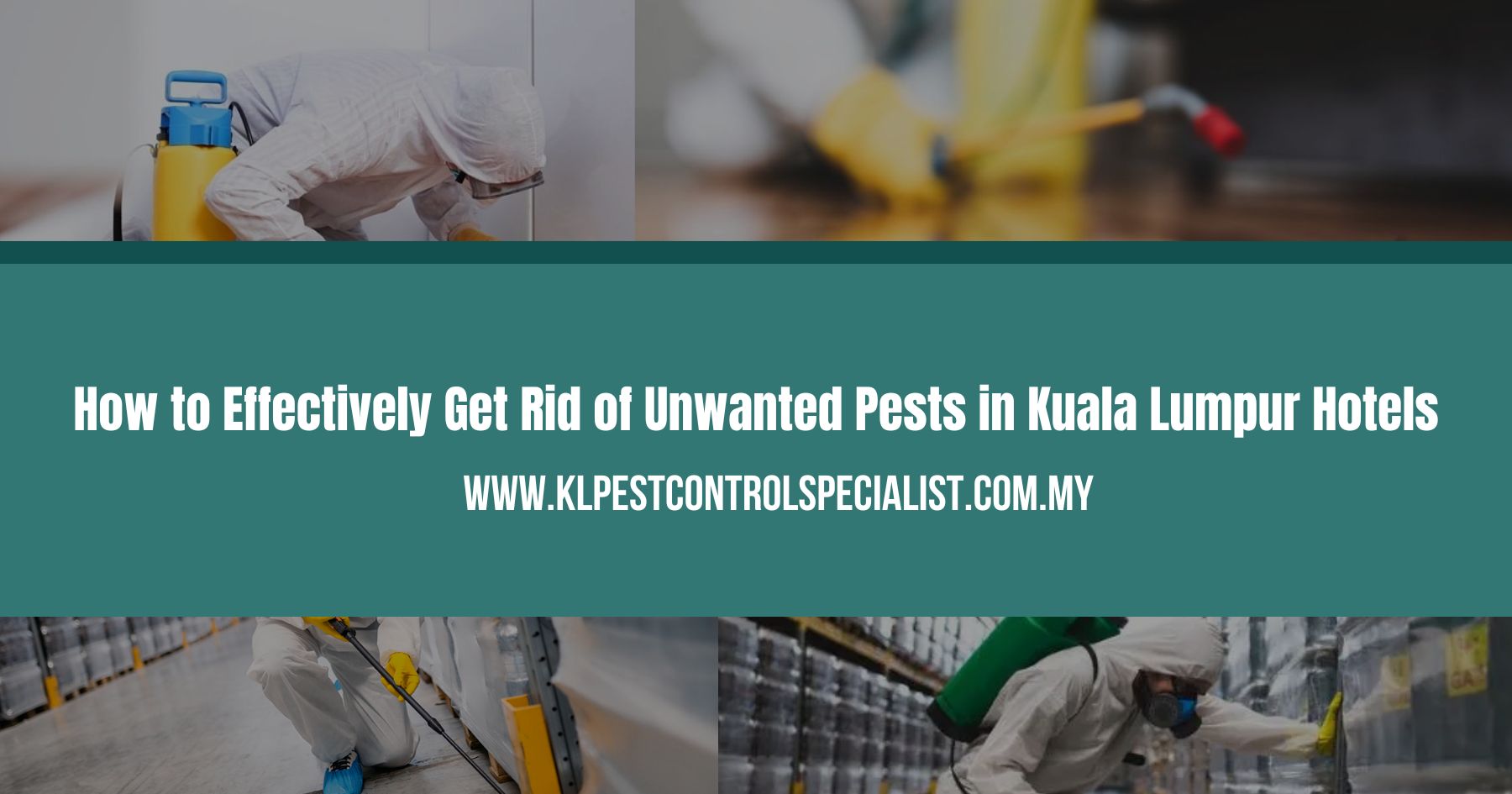 How to Effectively Get Rid of Unwanted Pests in Kuala Lumpur Hotels