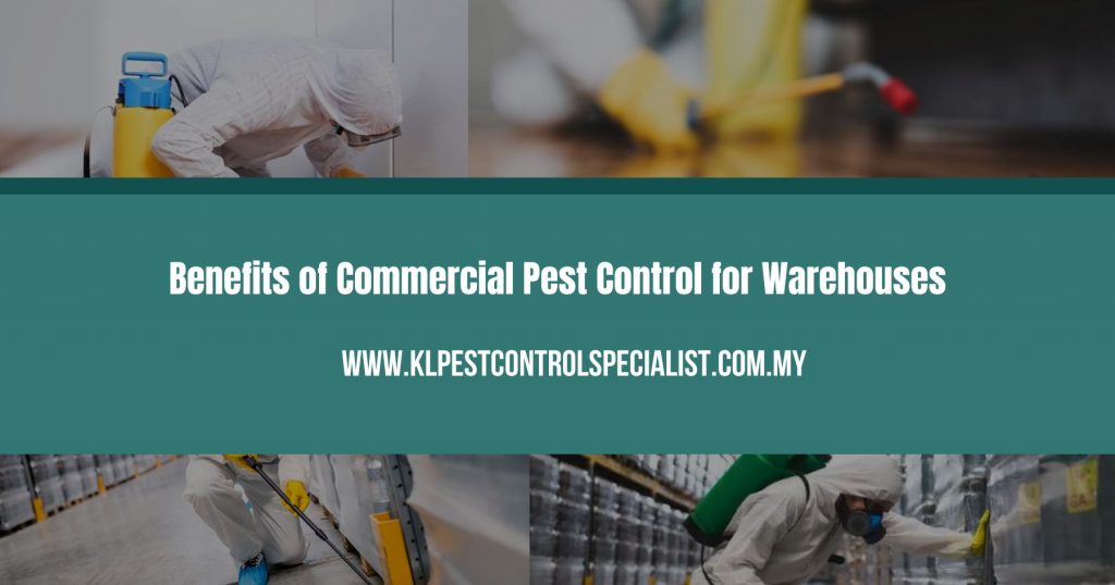 Benefits of Commercial Pest Control for Warehouses