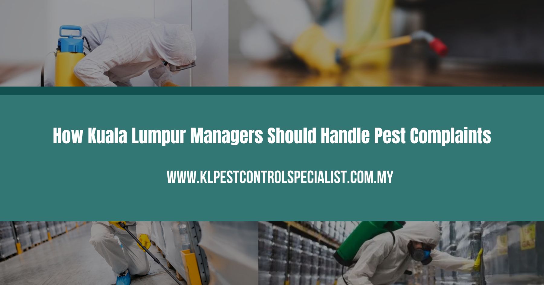 How Kuala Lumpur Managers Should Handle Pest Complaints