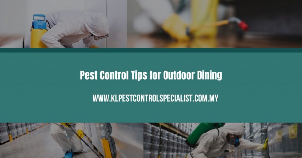 Pest Control Tips for Outdoor Dining