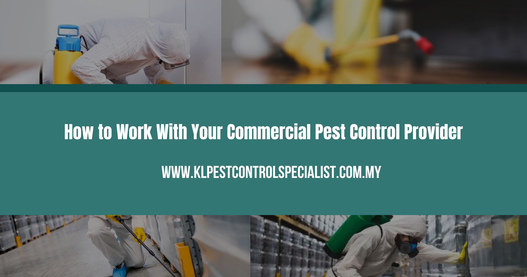 How to Work With Your Commercial Pest Control Provider