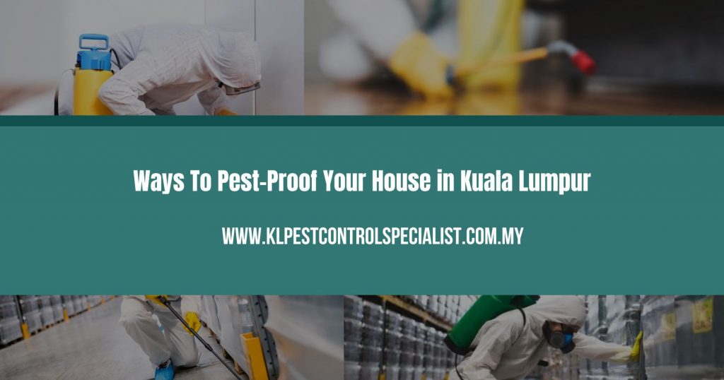 Ways To Pest-Proof Your House in Kuala Lumpur