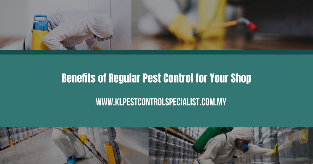 Benefits of Regular Pest Control for Your Shop