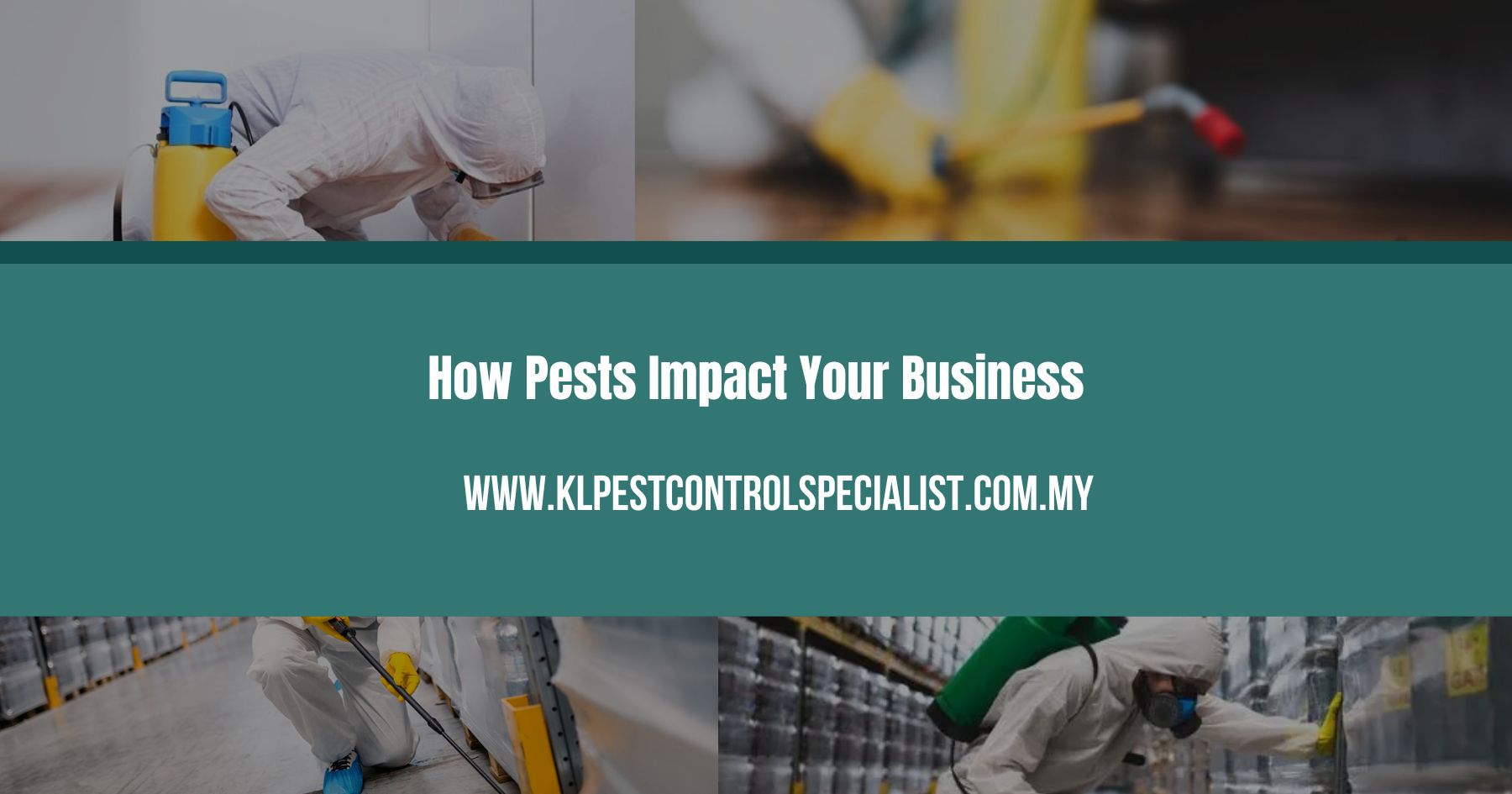 How Pests Impact Your Business