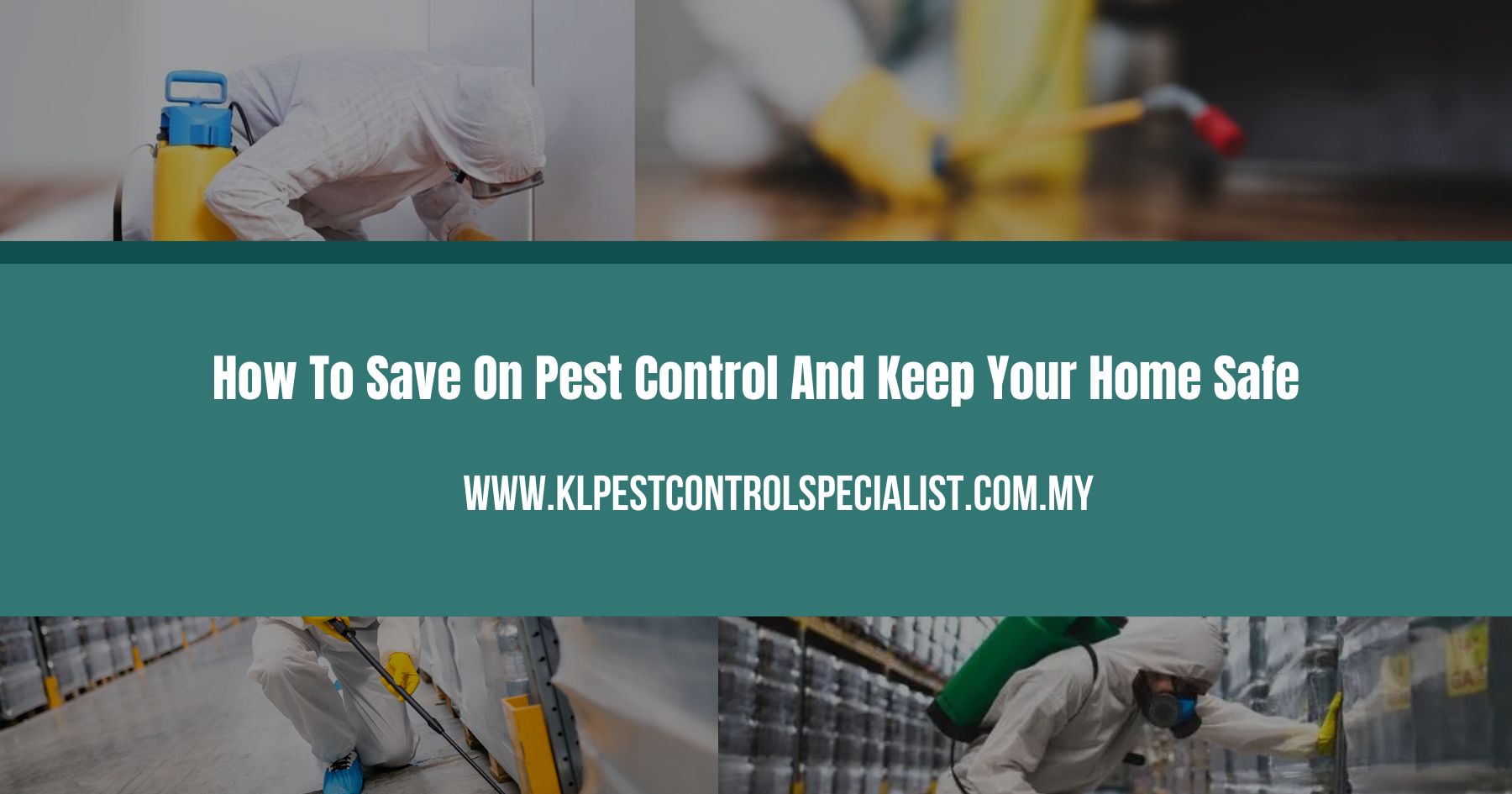 How To Save On Pest Control And Keep Your Home Safe
