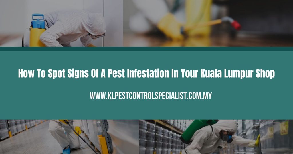 How To Spot Signs Of A Pest Infestation In Your Kuala Lumpur Shop