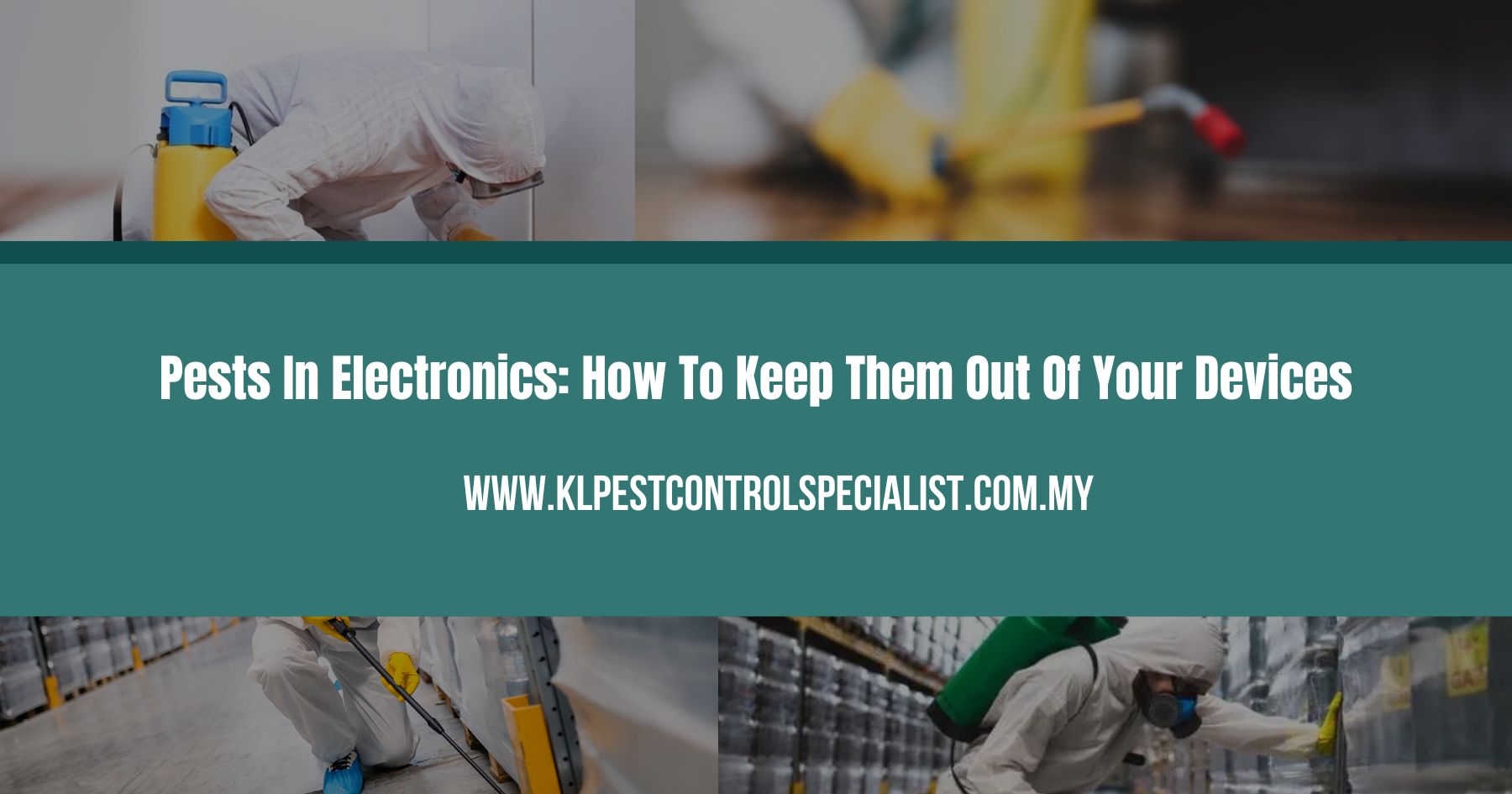 Pests In Electronics: How To Keep Them Out Of Your Devices