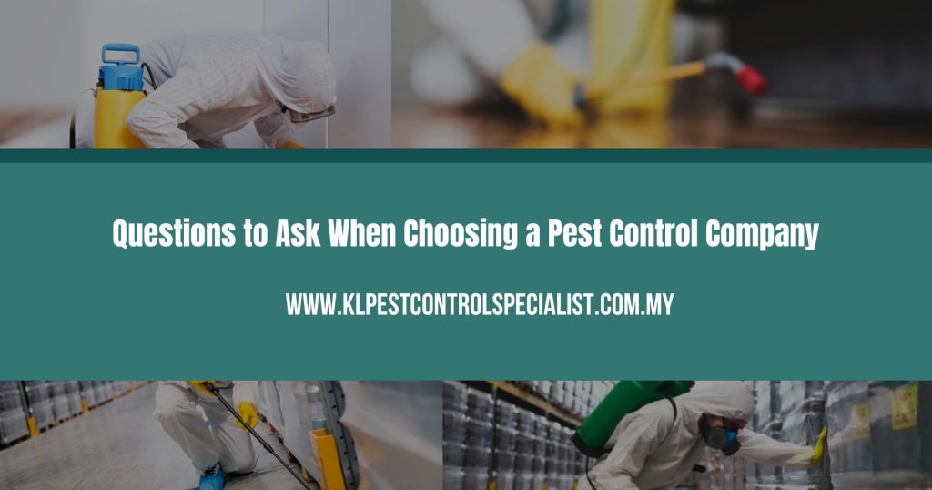 Questions to Ask When Choosing a Pest Control Company